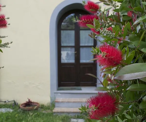 Giuly Rosselmini Pieve di Santa Luce