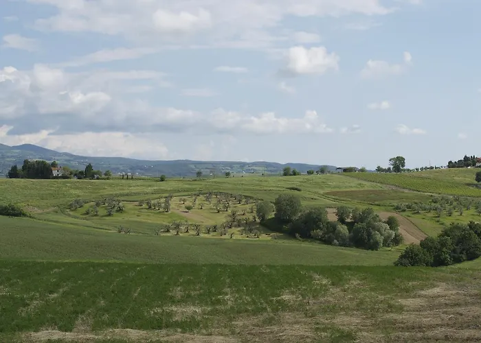 Giuly Rosselmini Pieve di Santa Luce